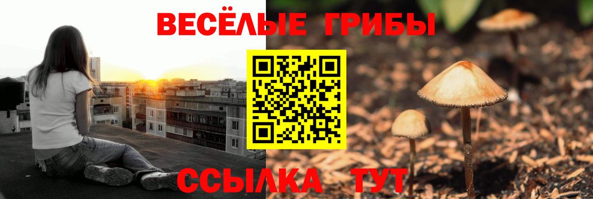 Галлюциногенные грибы мицелий  Вход с VPN  Кемерово 